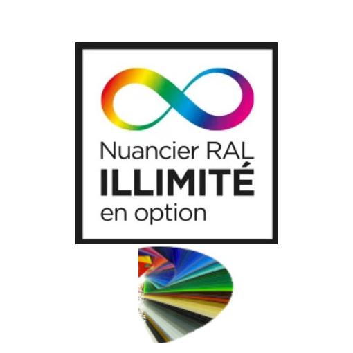 Porte Acier modèle CARASSIN - S