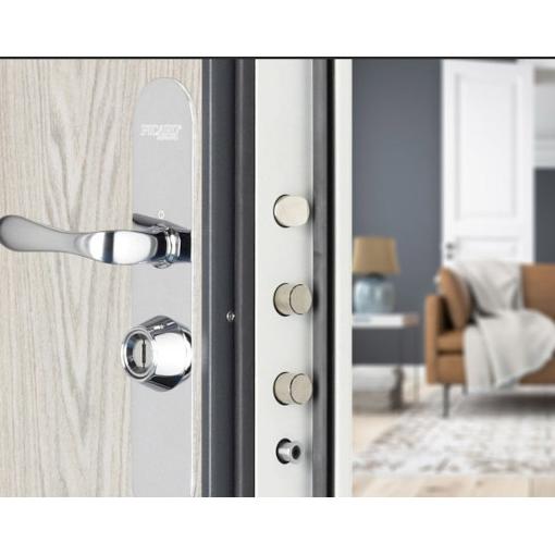 Porte Blindée modèle Porte blindé Diamant 10 - LN Forest 1013 - P