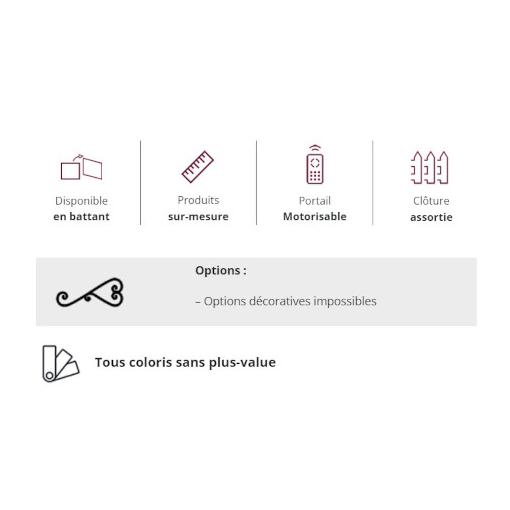 Portail Aluminium modèle ALISMA - Tradition - C