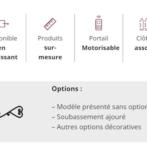 Portail Aluminium modèle NASHI - Tradition - C