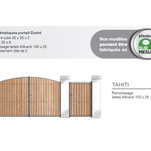 Portail Fer modèle TAHITI - L
